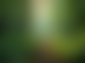 Conecte-se com a Natureza no Adventure Eco Park