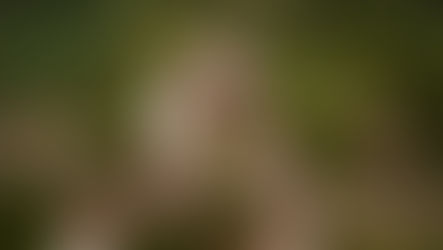 Prefeitura de Nova Petrópolis participa de reunião sobre nova concessão da ERS-235