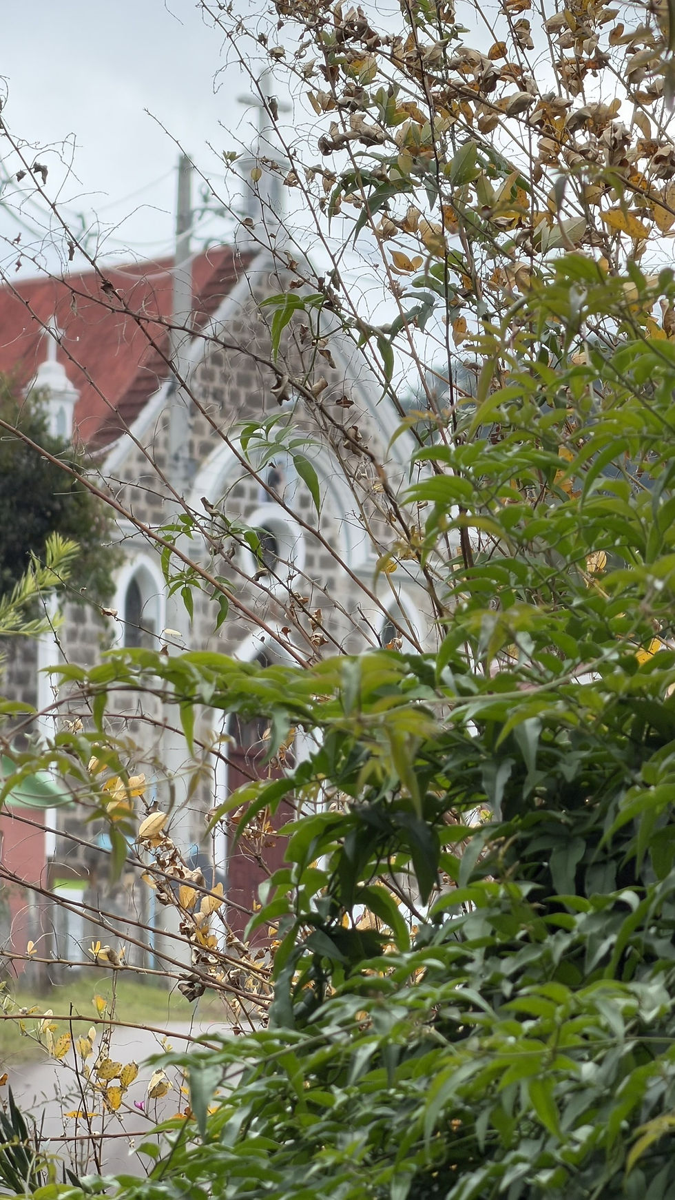 Igreja de Santo Antônio, Tapera Italiana. Lembrando que no próximo domingo, 14, tem festa. Foto: Tela Tomazeli