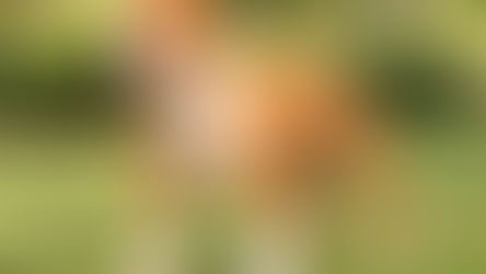A imagem do animal foi manipulada, tirando a criança que o segurava e colocando o gramado de base, por IA.