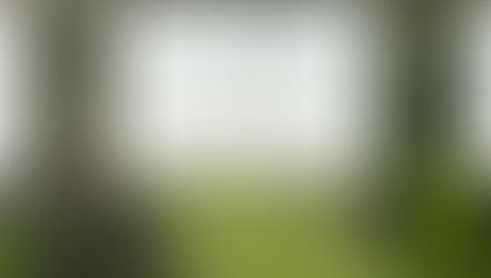 Jardim Secreto chega à 4ª edição com proposta de "Florescer Noturno" 