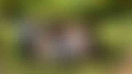 Equipe da Gramadotur, que organiza os eventos públicos de Gramado.