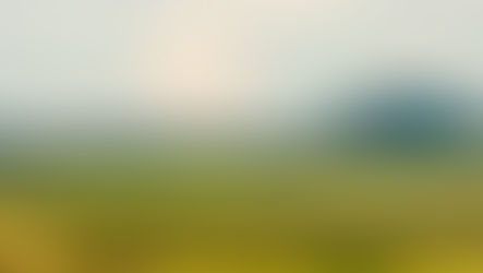 R$ 10 milhões para acelerar expansão industrial, agrícola e turística em 2026. renda para mais de 600 famílias cooperadas