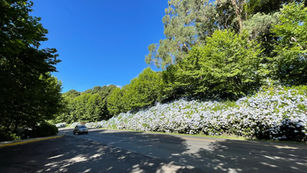 Turismo de eventos injeta quase R$ 1 bilhão na economia de Gramado e Canela em 2025