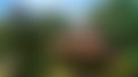 Mirante da Cascata, a tão aguardada vista para o cenário que contempla a Cascata do Caracol