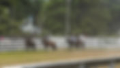 Rodeio Crioulo Nacional de Canela encerra com sucesso