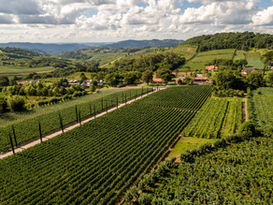 Caxias do Sul e Vale dos Vinhedos brindam conquistas