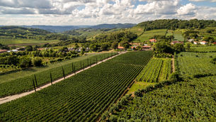 Caxias do Sul e Vale dos Vinhedos brindam conquistas
