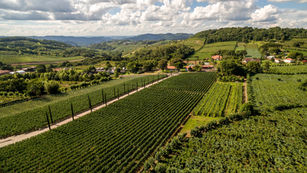 Caxias do Sul e Vale dos Vinhedos brindam conquistas