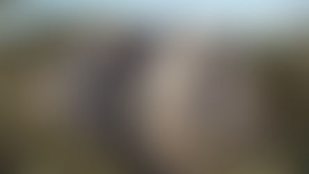 Gorjeio Gramado vence o World Design Awards 2025: prêmio mundial da arquitetura