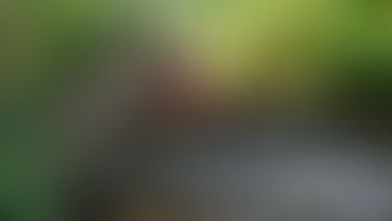 Nova Petrópolis: Encerramento do Verão no Jardim da Serra Gaúcha