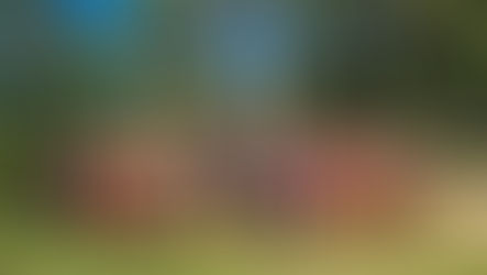 Porto Alegre busca título oficial de "Cidade da Natação em Águas Abertas"