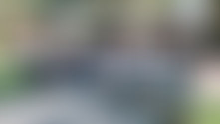 V Feijoada da Solidariedade acontecerá em abril