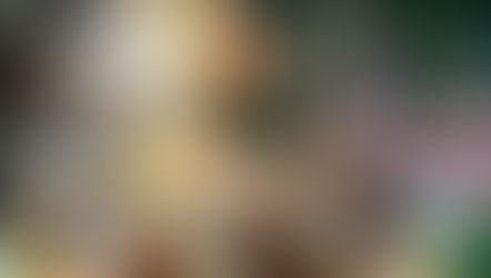 TEA, meia -entrada, crianças, 60+, lounges, cliente Bradesco, black friday, solidário, veja o que o Natal Luz traz