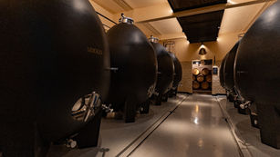 Temporada 2026: Vinícola Miolo redefine o enoturismo com degustações inéditas em "ovos de concreto" e espaços revitalizados