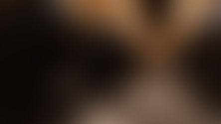 Temporada 2026: Vinícola Miolo redefine o enoturismo com degustações inéditas em "ovos de concreto" e espaços revitalizados