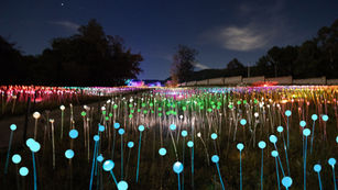 Lumni Experience realiza o primeiro “Luau das Estrelas by Parksnet”