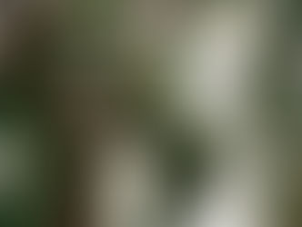 Atlantica Hospitality International investe no Parque da Festa da Uva