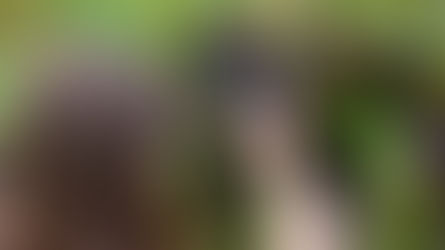 Gramado expande celebração da colheita com abertura da Vila do Vinho e estreia de corrida temática