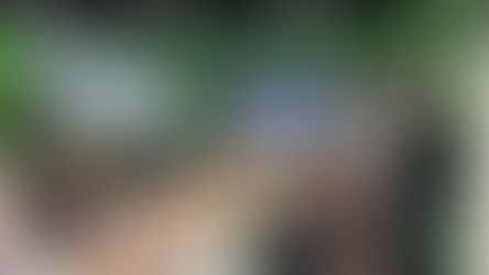 Sindtur promove treinamento