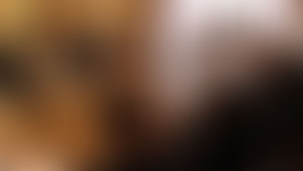 Pedágio: Cada município tem uma demanda. O que dizem os representantes oficiais ao Estado