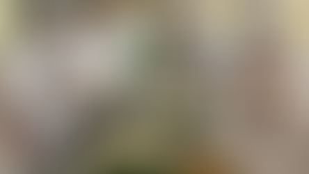 Farmácia Viva de Gramado orienta sobre o uso seguro de Plantas Medicinais