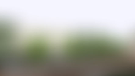 Educação: IFRS lança pedra fundamental do Campus de Gramado