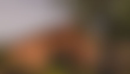 Amanhecer de Vindima é novidade na Cristofoli