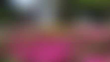 Turismo: Informação mais acessível e qualificação nas tomadas de decisões