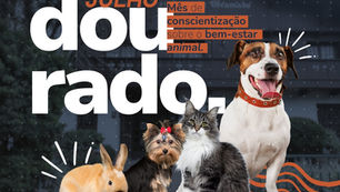Julho Dourado: Câmara promoverá mês de conscientização pela saúde e bem-estar animal