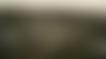 Gramado define o futuro da sua Arquitetura: Novas regras visam proteger a identidade da Cidade