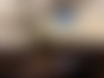 Boletim Informativo: Câmara Municipal de Gramado