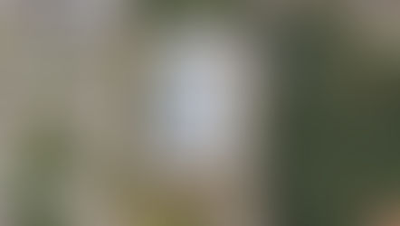 São Francisco de Paula