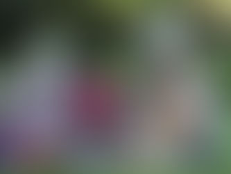 Parque - Memória e magia: Park Knorr resgata a essência de Gramado e traz a Vila Encantada de Páscoa