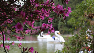 Turismo: Gramado reforça maturidade turística com cartilha de comunicação para o trade