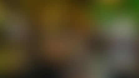 Eventos: Valdir Bündchen foi uma das presenças de impacto no “Conexão Fioreze”