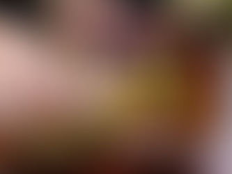 Gastronomia: Temporada de Caçada de Cogumelos em São Francisco de Paula