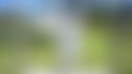 Estação meteorológica para Picada Café fortalece a agricultura