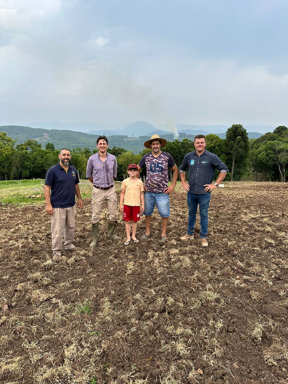 Crédito: Divulgação