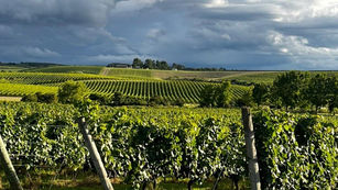 Janeiro marca o nascimento dos espumantes Chandon