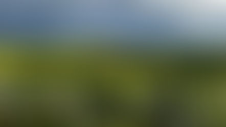 Janeiro marca o nascimento dos espumantes Chandon