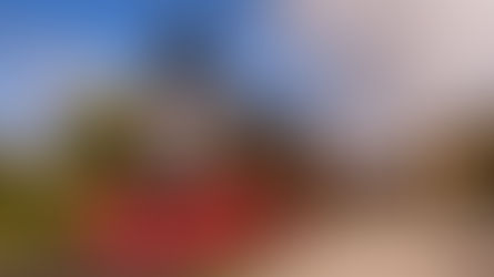 Maria Fumaça e Trem do Pampa entram em período de descontos nos passeios.