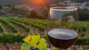 Enoturismo gaúcho cresce quase 60% em 2025 e consolida retomada após impacto das enchentes