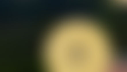 Queijo da Canastra, uma tradição secular presente no Connection