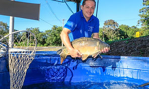 Páscoa: Feira do Peixe Vivo na Semana Santa