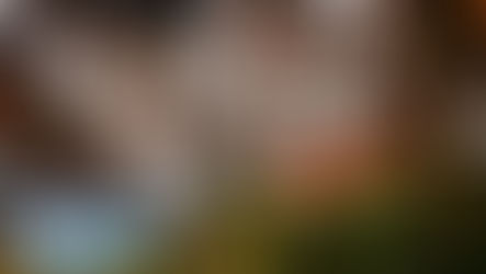 Turismo: 14ª edição do Prêmio Braztoa de Sustentabilidade será em evento inédito, na Rua Coberta