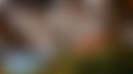 Turismo: 14ª edição do Prêmio Braztoa de Sustentabilidade será em evento inédito, na Rua Coberta