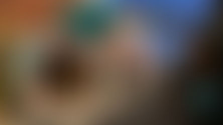 Páscoa: Hotel Criamigos e Mini Mundo vencem concursos de decoração na ChocoPáscoa 2026