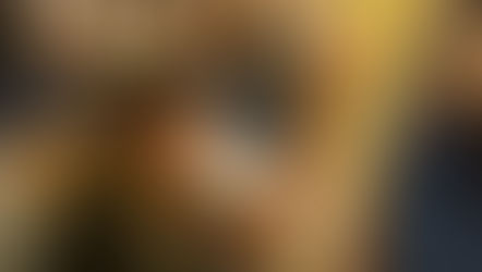 Festuris: Arte e Meio Ambiente