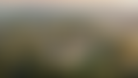 Câmara: Audiência Pública discute criação da "Nova Centralidade" na Região Norte